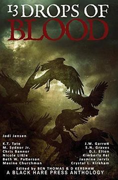 portada 13 Drops of Blood (in English)