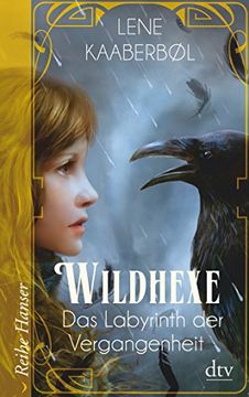 portada Wildhexe - das Labyrinth der Vergangenheit (Reihe Hanser) (in German)