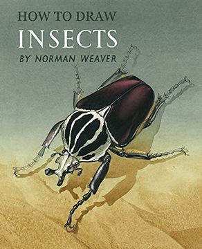 portada How to Draw Insects (Facsimile Reprint) (en Inglés)