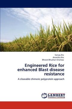 portada engineered rice for enhanced blast disease resistance (en Inglés)