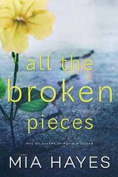 portada All the Broken Pieces: 2 (a Waterford Novel) (in English)