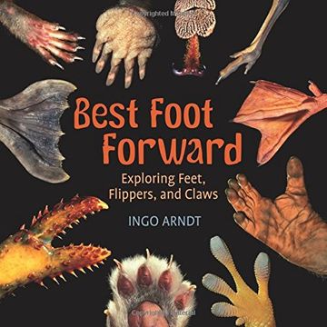 portada Best Foot Forward: Exploring Feet, Flippers, and Claws (en Inglés)