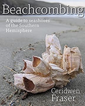 portada Beachcombing: A Guide to Seashores of the Southern Hemisphere (en Inglés)