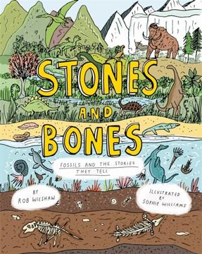 portada Stones and Bones: Fossils and the Stories They Tell (en Inglés)
