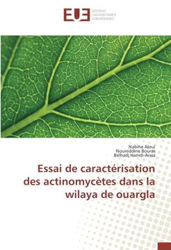 portada Essai de caractérisation des actinomycètes dans la wilaya de ouargla (French Edition)