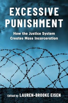 portada Excessive Punishment: How the Justice System Creates Mass Incarceration (en Inglés)