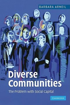 portada Diverse Communities: The Problem With Social Capital (en Inglés)