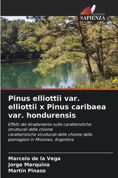 portada Pinus elliottii var. elliottii x Pinus caribaea var. hondurensis