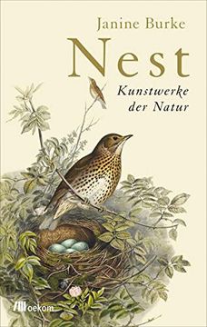 portada Nest: Kunstwerke der Natur (en Alemán)