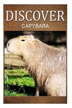 portada Capybara - Discover: Early Reader's Wildlife Photography Book