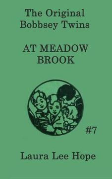 portada The Bobbsey Twins at Meadow Brook (en Inglés)