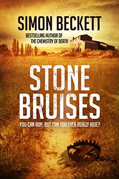 portada Stone Bruises: You can Run, but can you Ever Really Hide? (en Inglés)