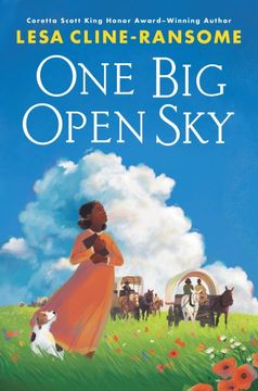portada One big Open sky (en Inglés)