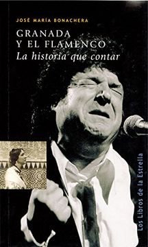 portada Granada y el Flamenco: La Historia que Contar (in Spanish)
