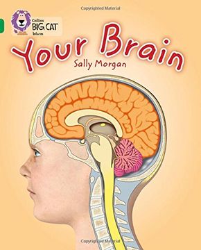 portada Your Brain. By Sally Morgan (en Inglés)