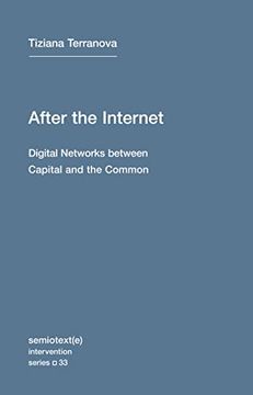 portada After the Internet: Digital Networks Between Capital and the Common: 33 (Semiotext(E) (in English)
