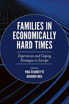 portada Families in Economically Hard Times: Experiences and Coping Strategies in Europe (en Inglés)