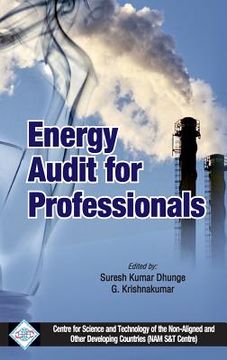 portada Energy Audit for Professionals/Nam S&T Centre (en Inglés)