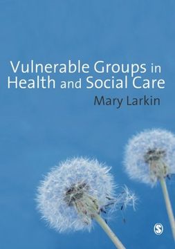 portada Vulnerable Groups in Health and Social Care (en Inglés)