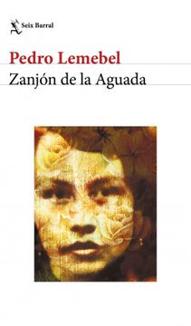 portada Zanjón de la Aguada (in Spanish)