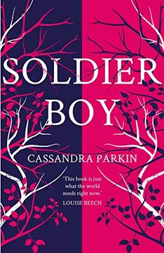 portada Soldier Boy (in English)