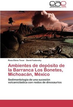 portada Ambientes de Deposito de La Barranca Los Bonetes, Michoacan, Mexico