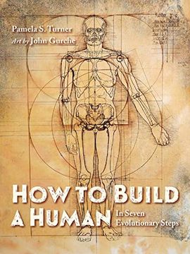 portada How to Build a Human: In Seven Evolutionary Steps (en Inglés)