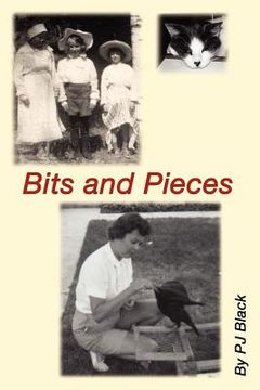 portada bits and pieces (in English)
