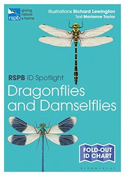 portada Rspb id Spotlight - Dragonflies and Damselflies 