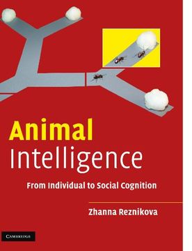 portada Animal Intelligence: From Individual to Social Cognition (en Inglés)