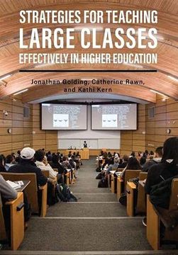 portada Strategies for Teaching Large Classes Effectively in Higher Education (en Inglés)