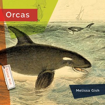 portada Orcas (en Inglés)
