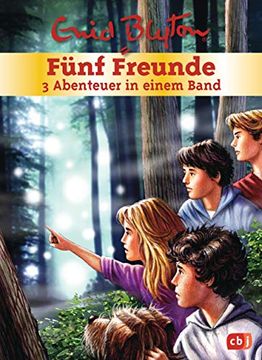 portada Fünf Freunde - 3 Abenteuer in Einem Band: Sammelband 6 (Doppel- und Sammelbände, Band 6) (in German)