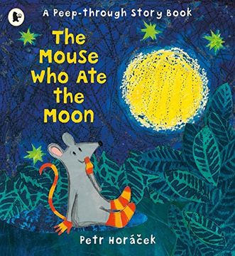 portada The Mouse who ate the Moon 