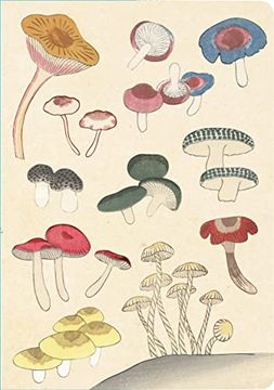 portada Healing Mushrooms Lined Paperback Journal: Blank Notebook With Pocket (en Inglés)