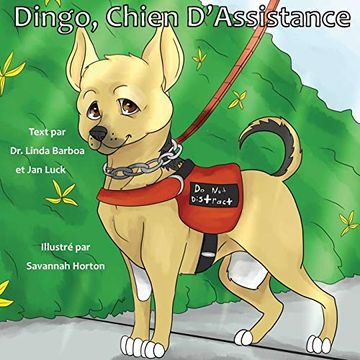 portada Dingo, Chien D'assistance (en Francés)