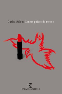 portada Con un Pájaro de Menos (in Spanish)