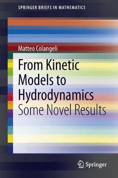 portada from kinetic models to hydrodynamics: some novel results (in English)