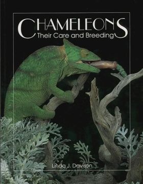 portada Chameleons: Their Care & Breeding: Their Care and Breeding (en Inglés)