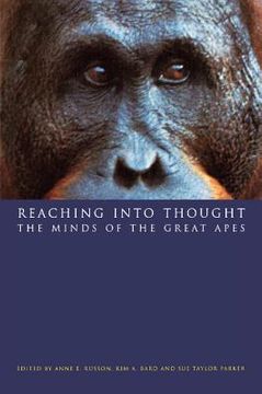 portada Reaching Into Thought: The Minds of the Great Apes (in English)
