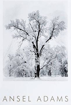 portada Oak Tree, Snowstorm, Yosemite National Park, Cailfornia 1948 (in English)