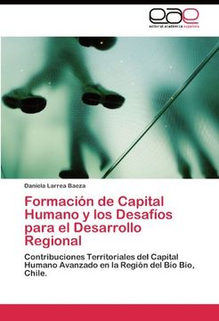 portada Formación de Capital Humano y los Desafíos para el Desarrollo Regional: Contribuciones Territoriales del Capital Humano Avanzado en la Región del Bío Bío, Chile.