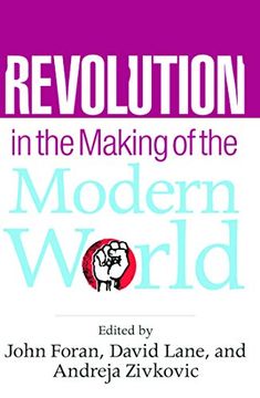 portada Revolution in the Making of the Modern World: Social Identities, Globalization and Modernity (in English)