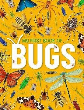 portada My First Book of Bugs: An Awesome First Look at Insects and Spiders (en Inglés)
