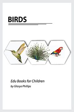portada Birds: Montessori Real Birds Book, Bits of Intelligence for Baby and Toddler, Children'S Book, Learning Resources. (Edu Books for Children) (en Inglés)