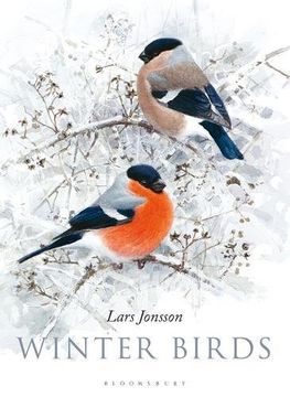 portada Winter Birds 