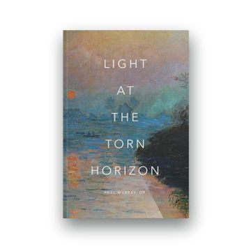 portada Light at the Torn Horizon (en Inglés)