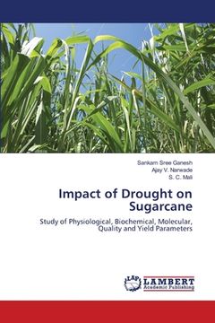 portada Impact of Drought on Sugarcane (en Inglés)