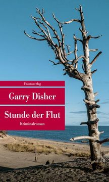 portada Stunde der Flut (en Alemán)
