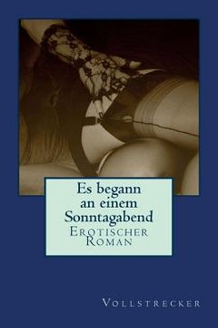portada Es begann an einem Sonntagabend: Erotischer Roman (in German)